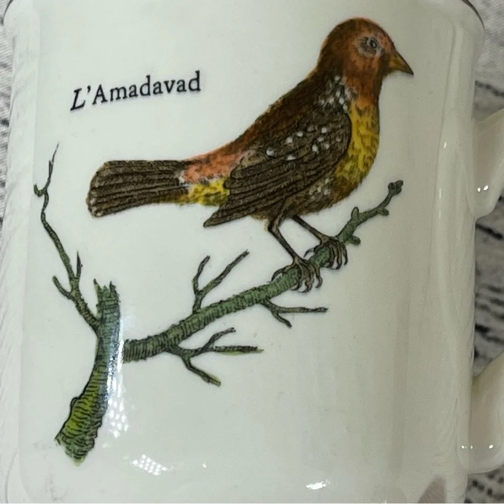 Villeroy & Boch Vintage Discontinued Pattern Paradiso Game Birds 2 Mugs …